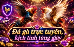 Giao diện sảnh Đá Gà t7mproductions